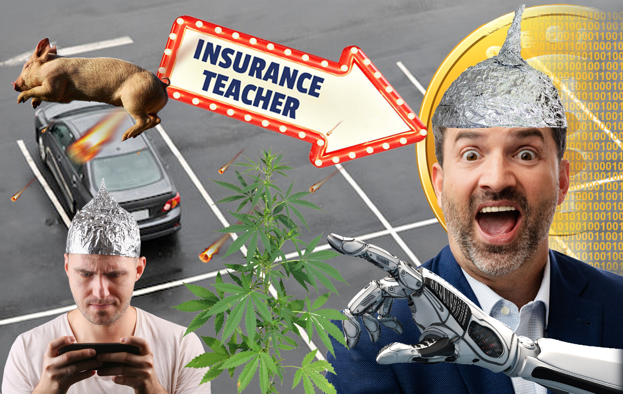 Paranoid Insurance Teacher Florida Education 